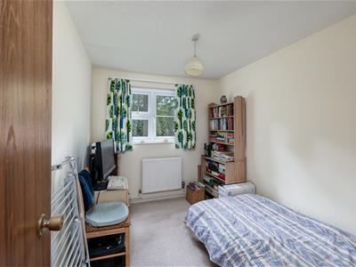Picture 10